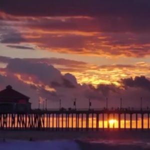 Meet your Posher, Lailani